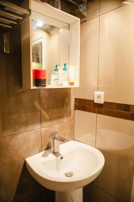 Quartier Belleville 20m2 Avec Mezzanine Daire
