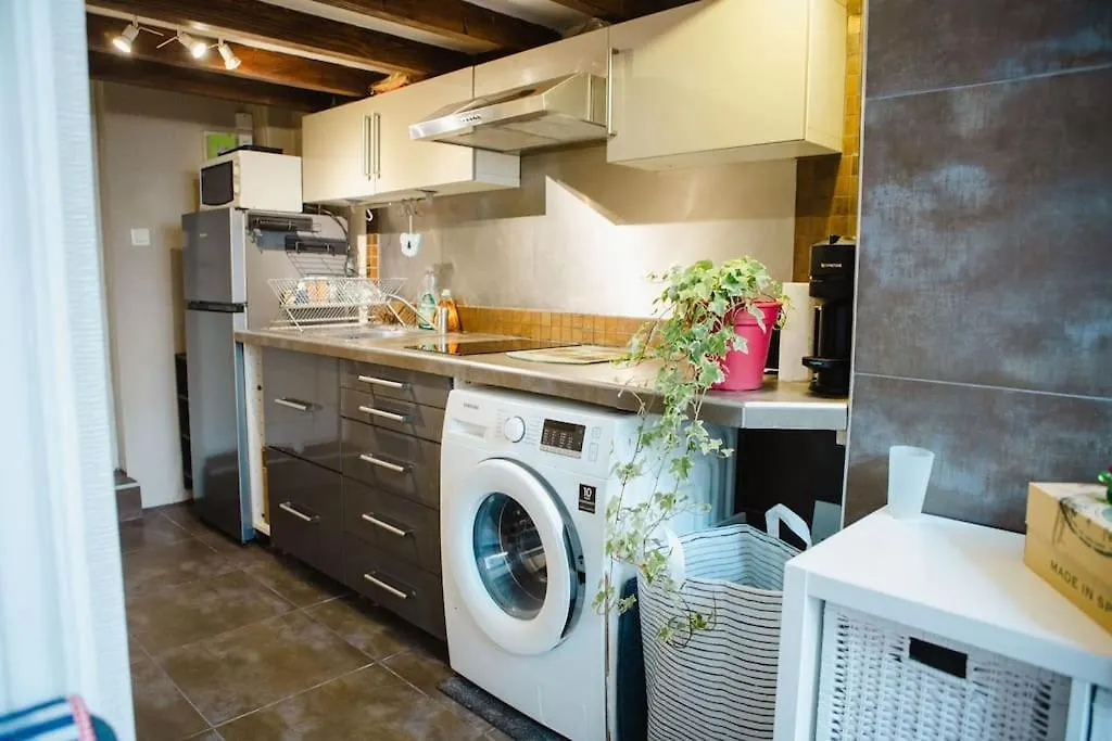 Quartier Belleville 20m2 Avec Mezzanine Daire